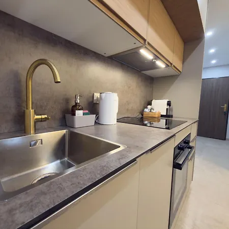 Modern With Alpine Charm In Apartament