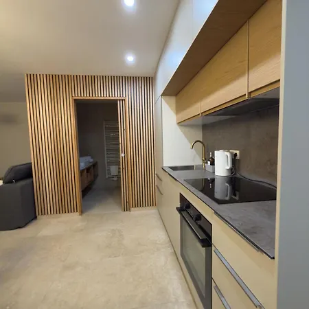 Apartment Modern With Alpine Charm In