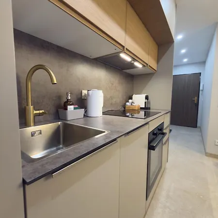 Modern With Alpine Charm In Apartment *
