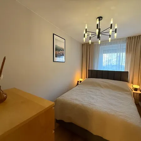 Modern With Alpine Charm In